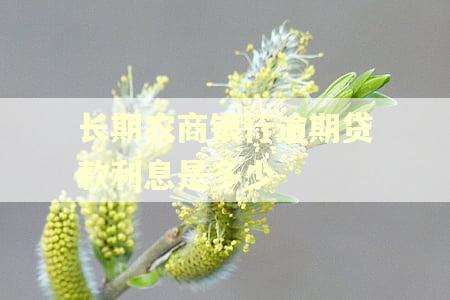 长期农商银行逾期贷款利息是多少
