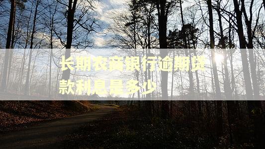 长期农商银行逾期贷款利息是多少