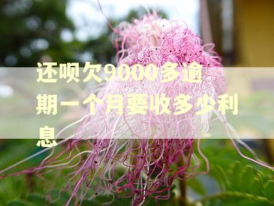 还呗欠9000多逾期一个月要收多少利息