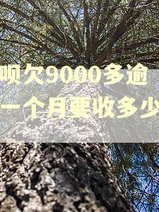 还呗欠9000多逾期一个月要收多少利息