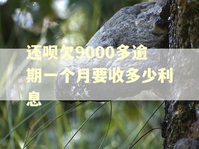还呗欠9000多逾期一个月要收多少利息