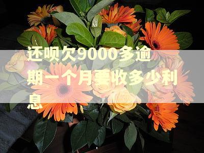 还呗欠9000多逾期一个月要收多少利息