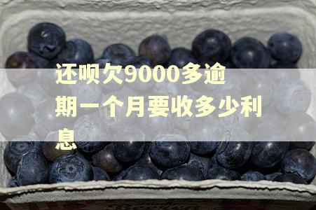 还呗欠9000多逾期一个月要收多少利息 还呗欠9000多逾期一个月要收多少利息