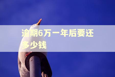 逾期6万一年后要还多少钱