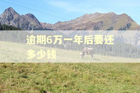 逾期6万一年后要还多少钱 逾期6万一年后要还多少钱