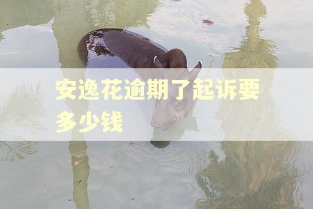 安逸花逾期了起诉要多少钱