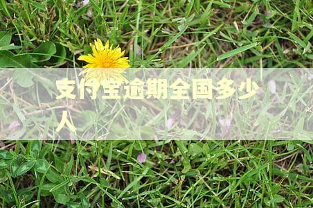 支付宝逾期全国多少人