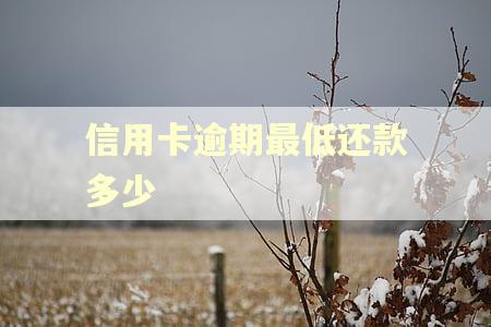 信用卡逾期最低还款多少