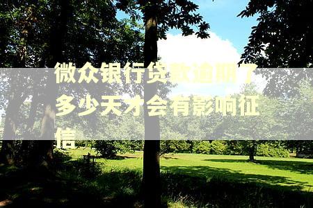 微众银行贷款逾期了多少天才会有影响征信