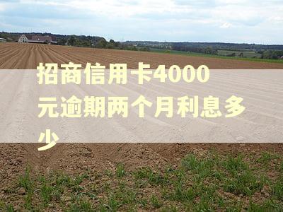 招商信用卡4000元逾期两个月利息多少