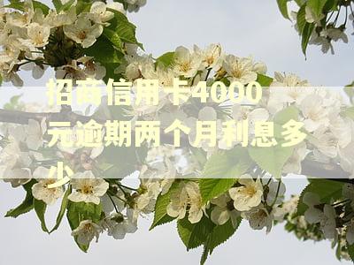 招商信用卡4000元逾期两个月利息多少