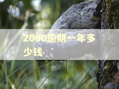 2000逾期一年多少钱