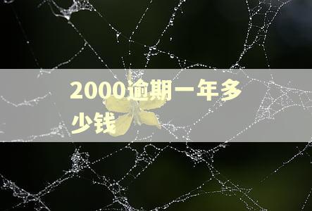 2000逾期一年多少钱 2000逾期一年多少钱