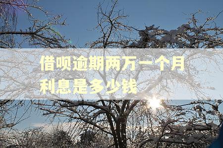 借呗逾期两万一个月利息是多少钱