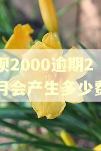 花呗2000逾期2个月会产生多少费用