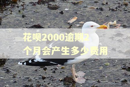 花呗2000逾期2个月会产生多少费用