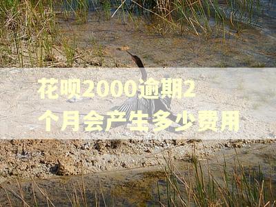 花呗2000逾期2个月会产生多少费用 花呗2000逾期2个月会产生多少费用