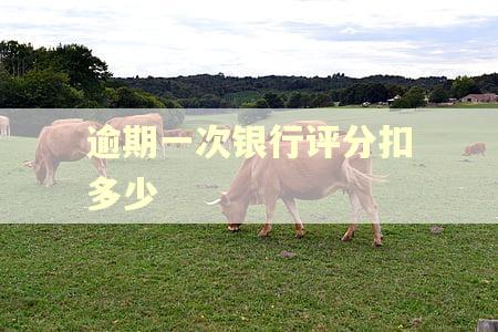 逾期一次银行评分扣多少