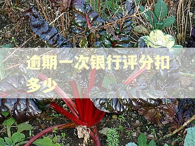 逾期一次银行评分扣多少
