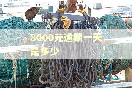 8000元逾期一天是多少