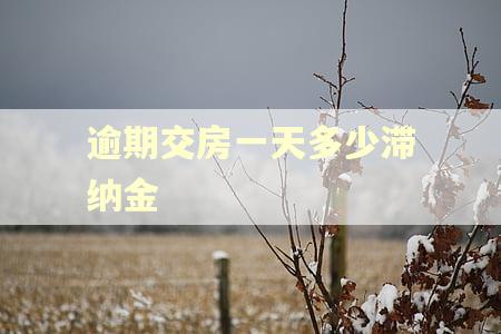 逾期交房一天多少滞纳金