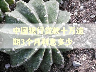 中国银行贷款十万逾期3个月利息多少