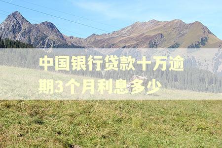 中国银行贷款十万逾期3个月利息多少
