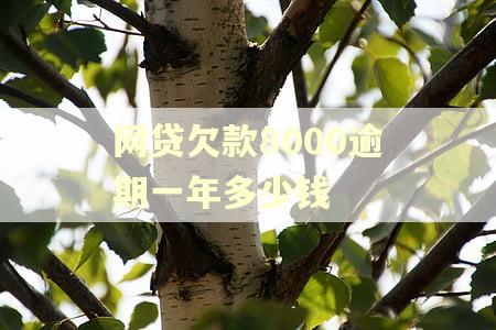 网贷欠款8000逾期一年多少钱