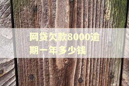 网贷欠款8000逾期一年多少钱