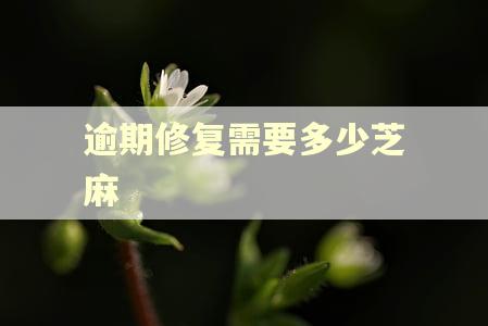 逾期修复需要多少芝麻