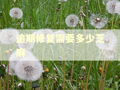 逾期修复需要多少芝麻