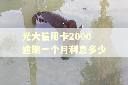 光大信用卡2000逾期一个月利息多少
