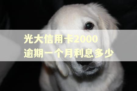 光大信用卡2000逾期一个月利息多少