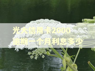 光大信用卡2000逾期一个月利息多少