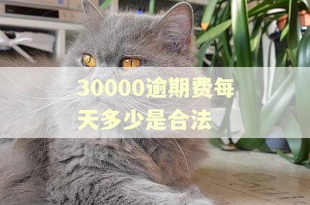 30000逾期费每天多少是合法 30000逾期费每天多少是合法