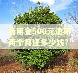 备用金500元逾期两个月还多少钱?
