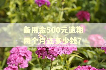备用金500元逾期两个月还多少钱? 备用金500元逾期两个月还多少钱?