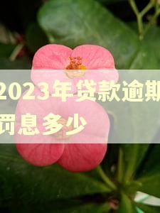 2023年贷款逾期罚息多少