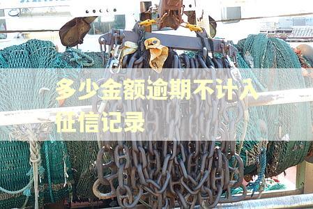多少金额逾期不计入征信记录