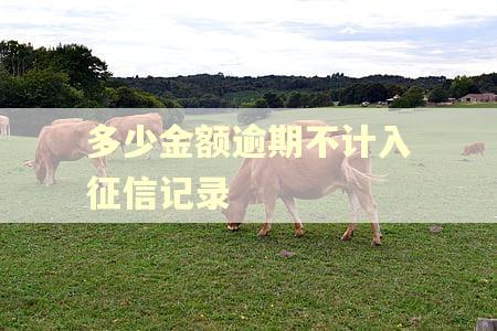 多少金额逾期不计入征信记录