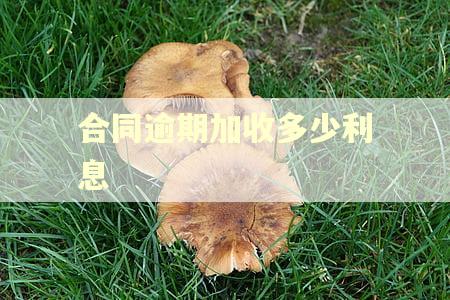 合同逾期加收多少利息