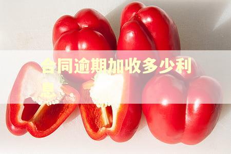 合同逾期加收多少利息