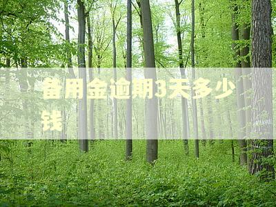 备用金逾期3天多少钱