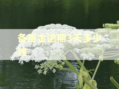 备用金逾期3天多少钱