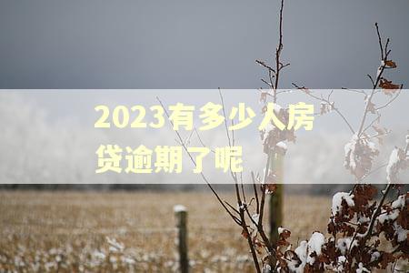 2023有多少人房贷逾期了呢