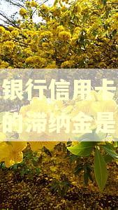 浦发银行信用卡逾期产生的滞纳金是多少