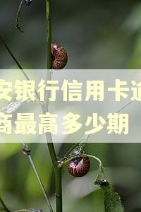 平安银行信用卡逾期协商最高多少期 平安银行信用卡逾期协商最高多少期