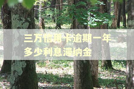 三万信用卡逾期一年多少利息滞纳金
