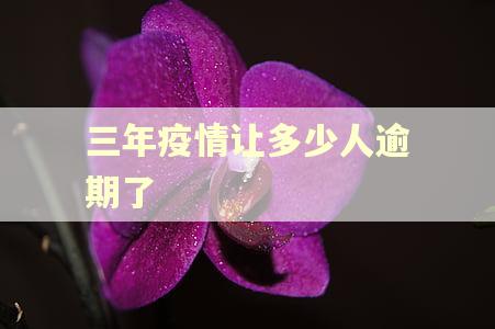 三年疫情让多少人逾期了
