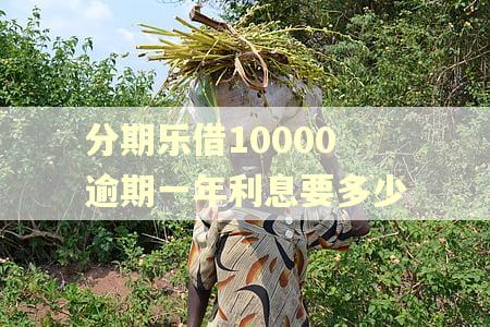分期乐借10000逾期一年利息要多少